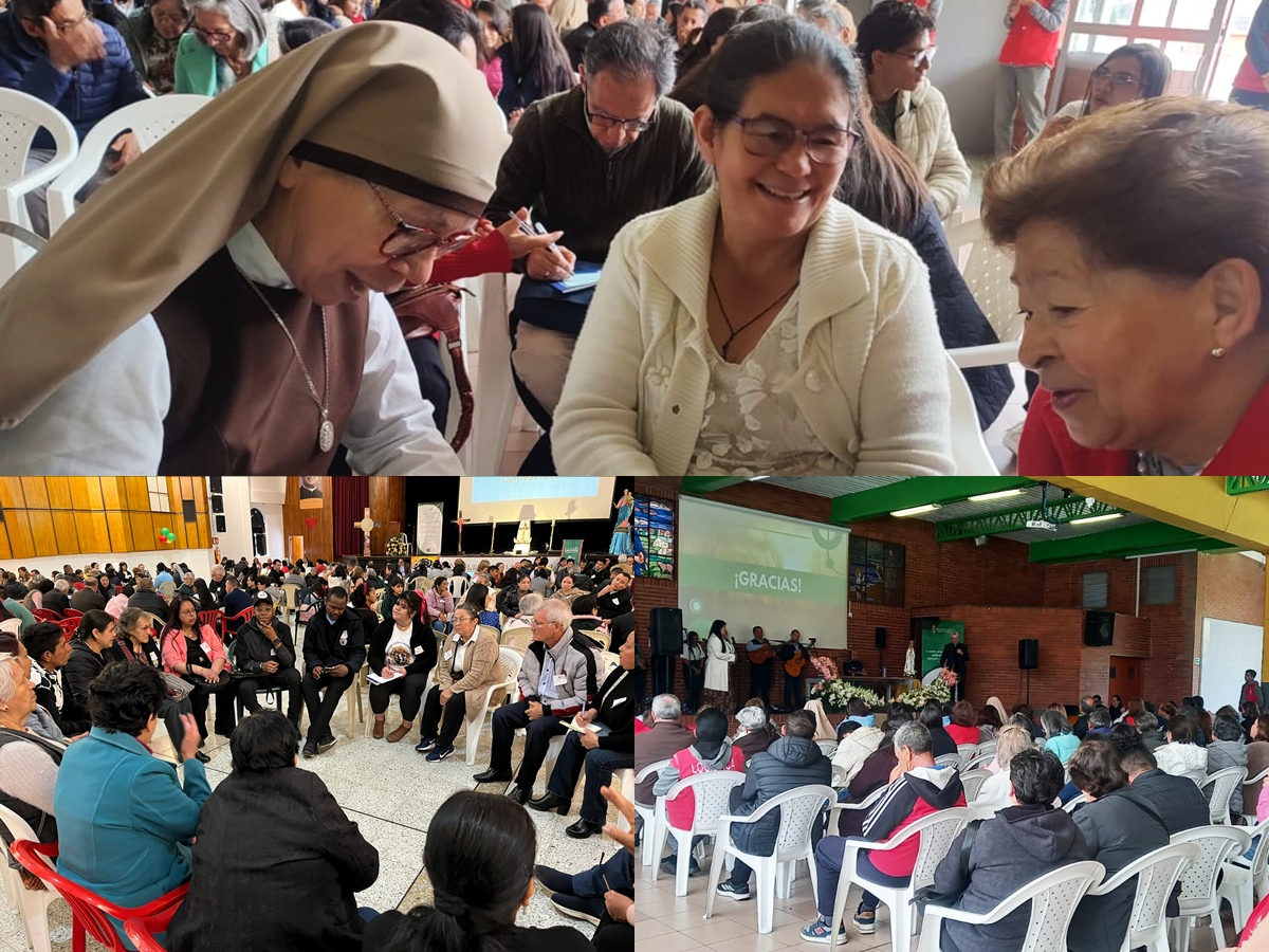 asamblea vic