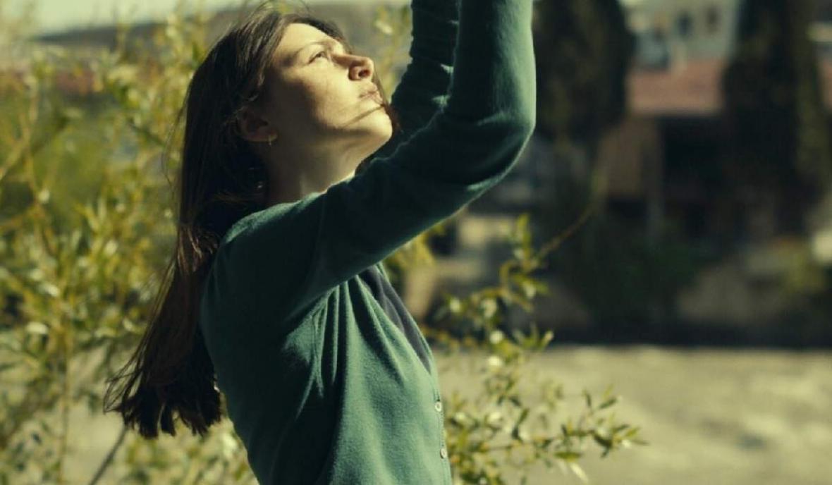 Película ¿Qué vemos cuando miramos al cielo?