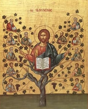 Liturgia mayo 3 Unirnos a Cristo para ser fecundos con Él