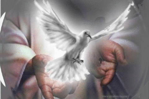 LITURGIA Junio 16 La salvación se hace realidad en el mundo por el envío del Hijo y del Espíritu Santo