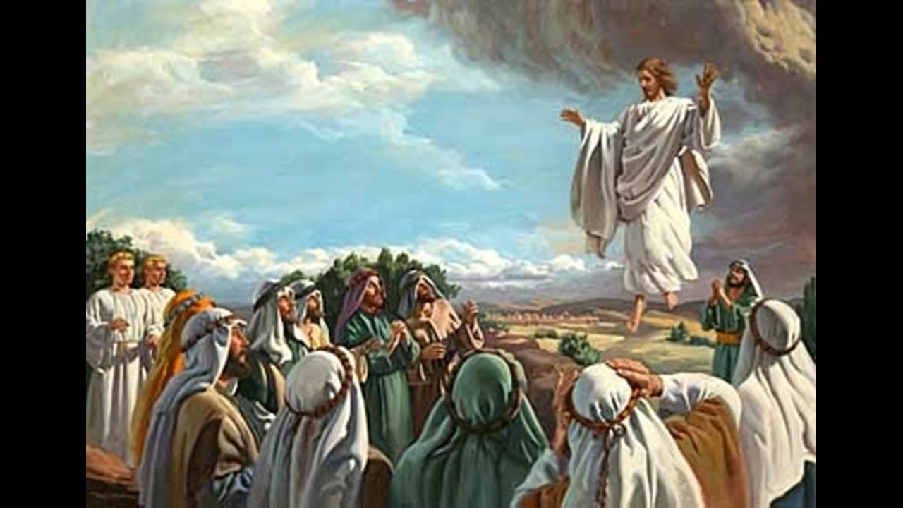 LITURGIA Mayo 24 Comunión de vida y comunión en la misión