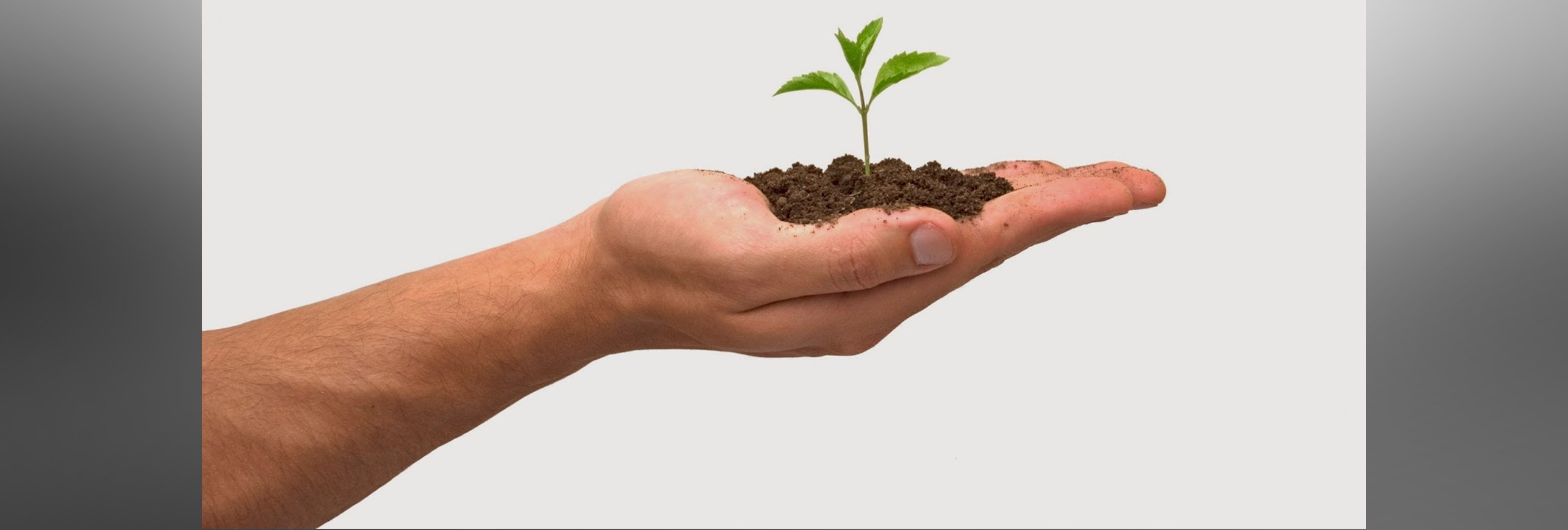 De la Acción Católica a la Pasión Católica