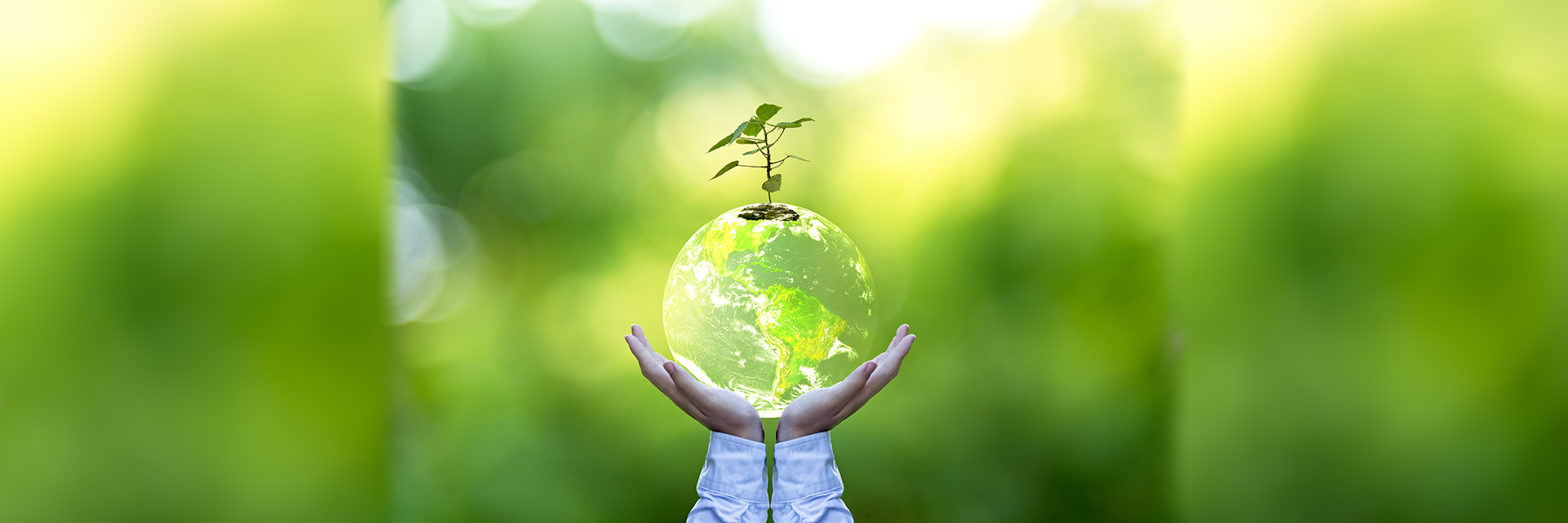 El Vaticano se vuelve libre de plástico, con la inspiración de la encíclica verde del Papa