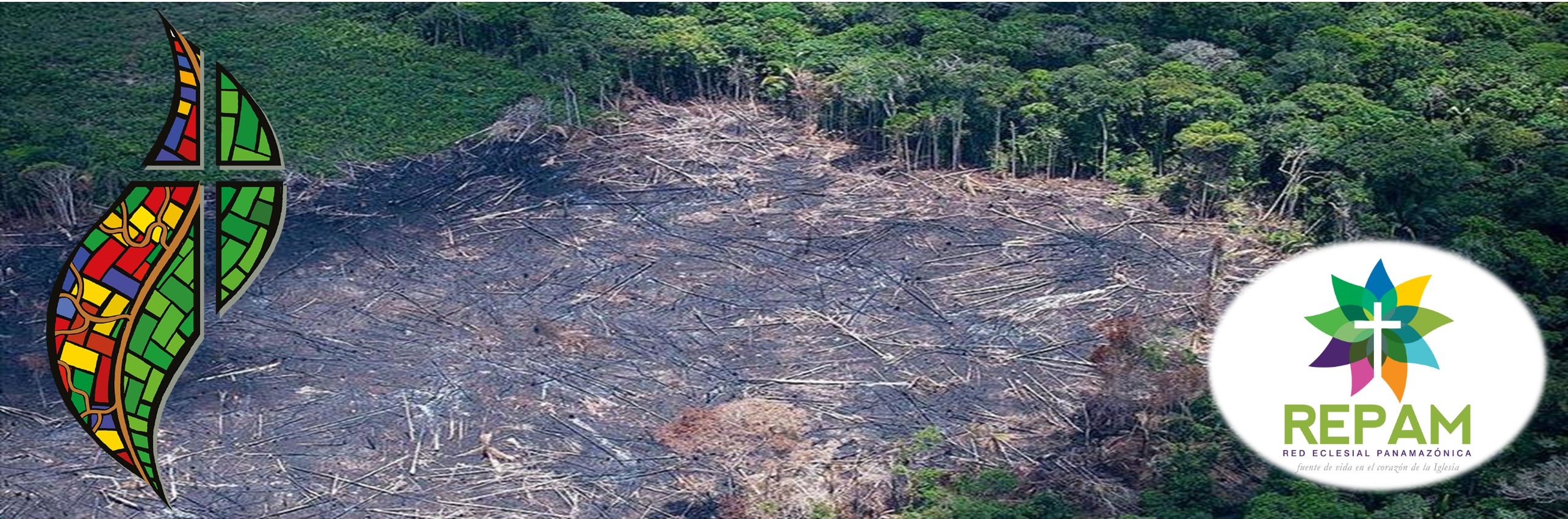 El cuidado de la Casa Común, el sínodo es una de las respuestas