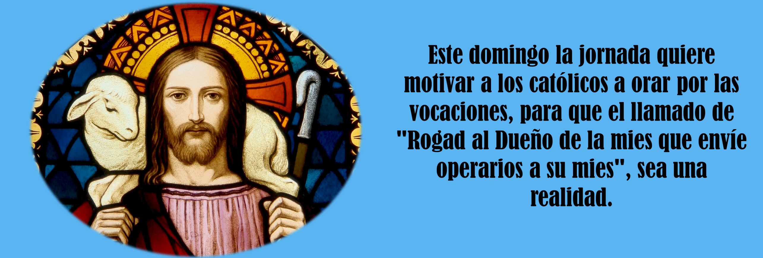 En Fiesta del Buen Pastor Colombia se unirá a la Jornada Mundial de Oración por las Vocaciones