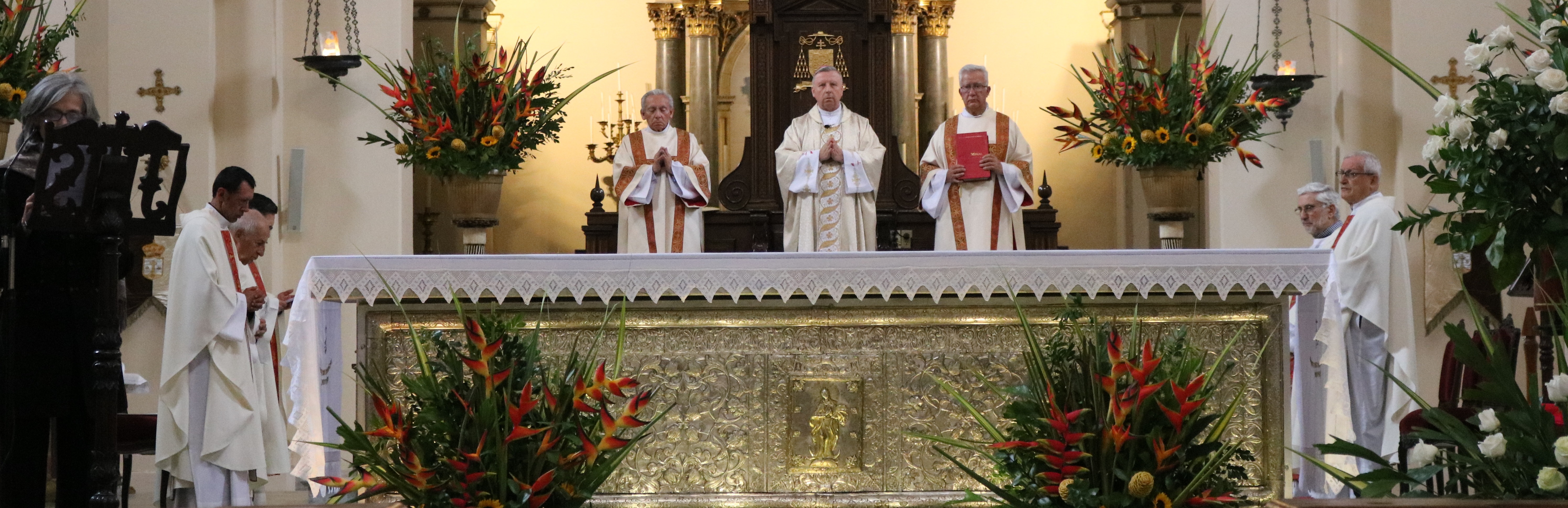 Humanae Vitae, encíclica controvertida y profética