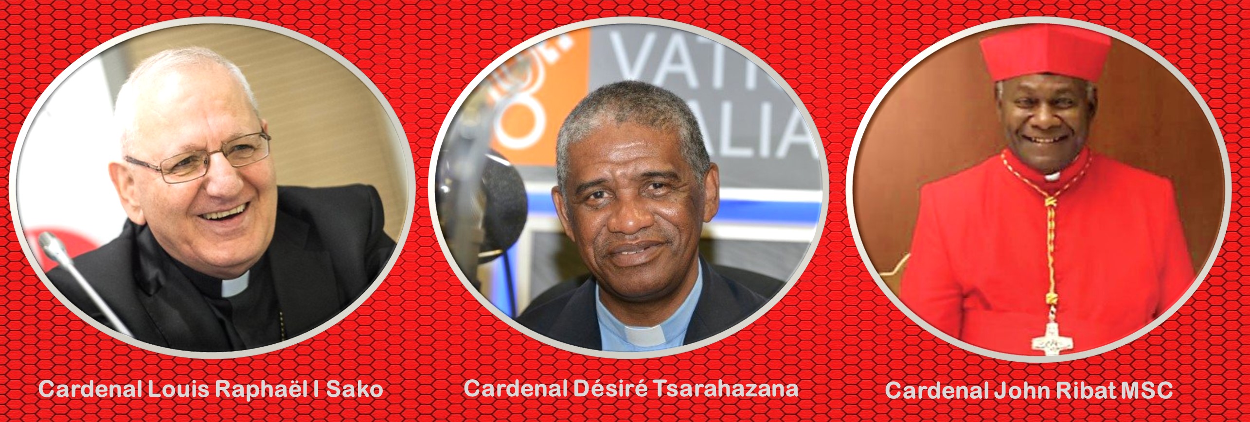 Sínodo de los jóvenes: nombrados los presidentes delegados