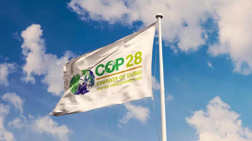 El cardenal Pietro Parolin representa a la Santa Sede en la COP28 de Dubái