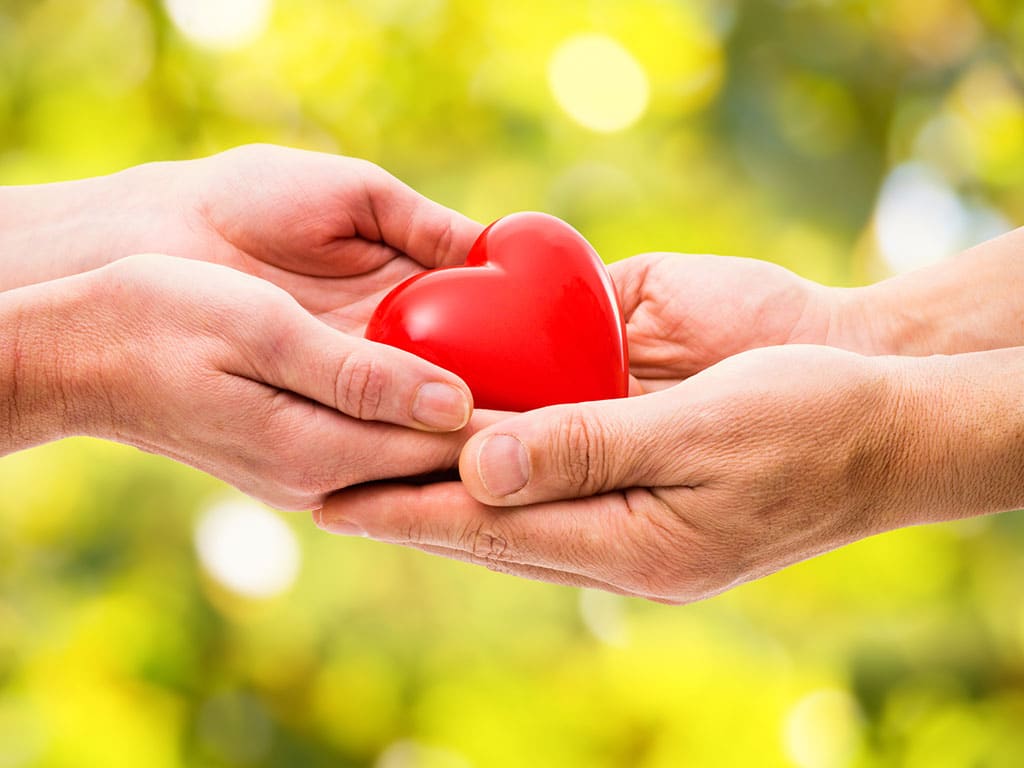 La misericordia de Dios es un milagro que cambia nuestro corazón