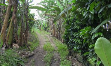 El Papa pide un “desarrollo integral” que favorezca al hombre y no contradiga a Dios