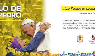Óbolo de San Pedro: Solidaridad, gratitud, amor