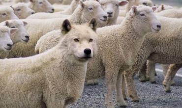 La ilusión del poseer sólo produce esclavos del lucro o de intereses mezquinos