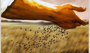 Liturgia Junio 14El Reino brota a partir de lo sembrado en la historia