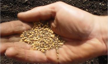 LITURGIA Octubre 2 Por la obediencia de la fe se viene realizando el proyecto de Dios