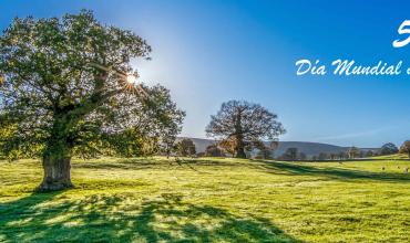 Subsidio litúrgico: Día del Medio Ambiente, 5 de junio