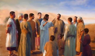 LITURGIA Enero 14Las primeras miradas