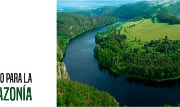 Del 6 al 27 de octubre se celebrará en Roma el sínodo de la Amazonía