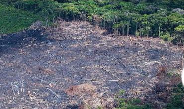 El cuidado de la Casa Común, el sínodo es una de las respuestas