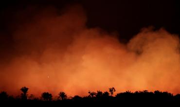 Levantamos la voz por el Amazonas: CELAM