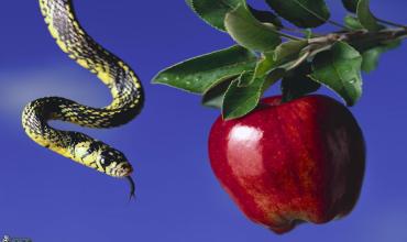 Sacerdote Benjamín González revela las dos grandes seducciones que alejan al hombre de Dios