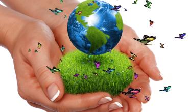 El Vaticano promueve un movimiento mundial para cuidar la casa común