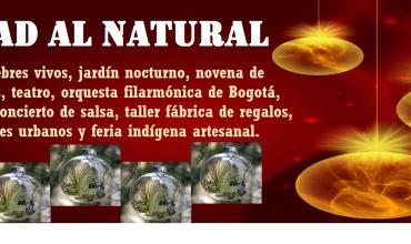 Navidad al natural 2014