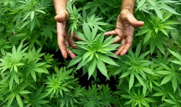 Muy buena prensa para tan malos resultados