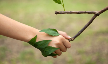 El mundo se prepara para celebrar el 10º aniversario de la encíclica del papa Francisco que transformó la relación entre fe, ecología y justicia social.