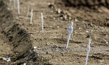 cultura de la muerte