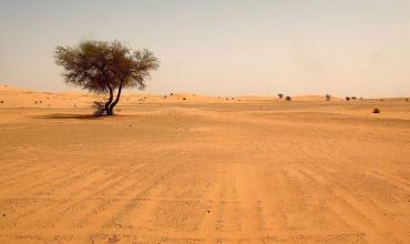 profeta en el desierto