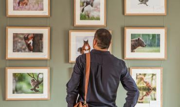 atención y contemplación